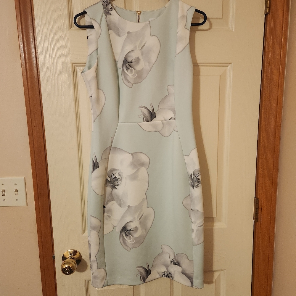 Floral Sheath Dress in Light Mint with Gray Bloom Print